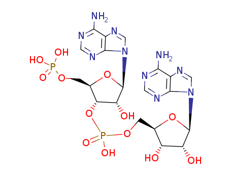 5'- Phosphoadenylyl- (3' → 5')- adenosine ( pApA )