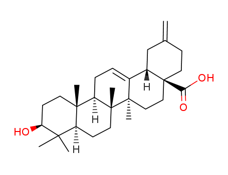 3alpha-Akeboic acid