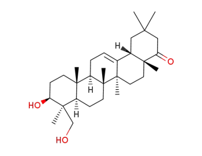 소야사포게놀 E
