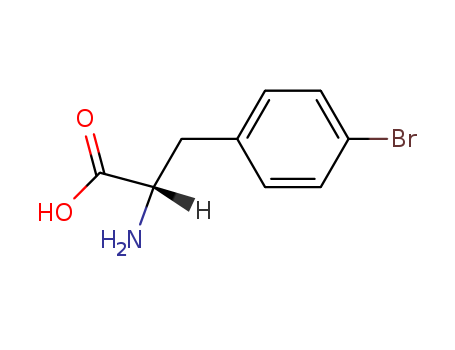 4-Bromo-L-phenylalanine CAS 24250-84-8