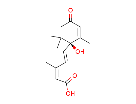 5-(1-HYDROXY-2,6,6-TRIMETHYL-4-OXOCYCLOHEX-2-ENYL)-3-METHYLPENTA-2,4-DIENOIC ACID