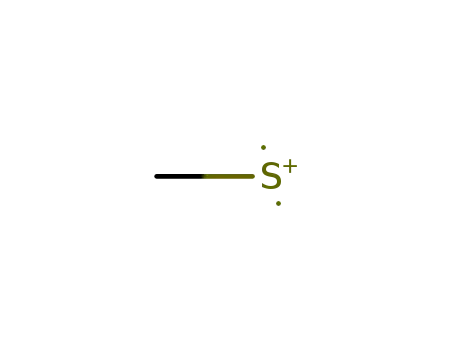 Molecular Structure of 20828-73-3 (Sulfoniumylidene, methyl-)