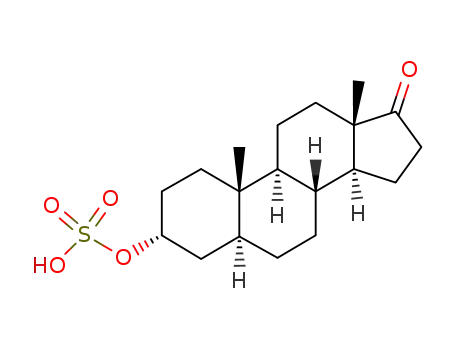 Androsterone sulfate
