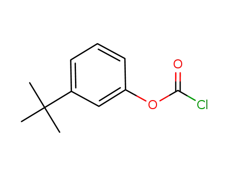 Molecular Structure of 49561-88-8 (m-tert-butylphenyl chloroformate)