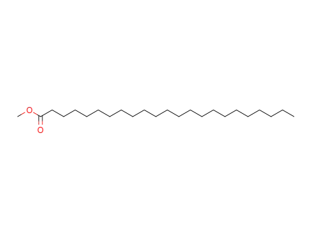 Molecular Structure of 2433-97-8 (METHYL TRICOSANOATE)
