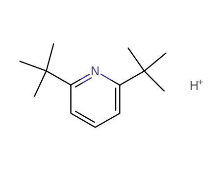2,6-di-tert-butylpyridinium ion