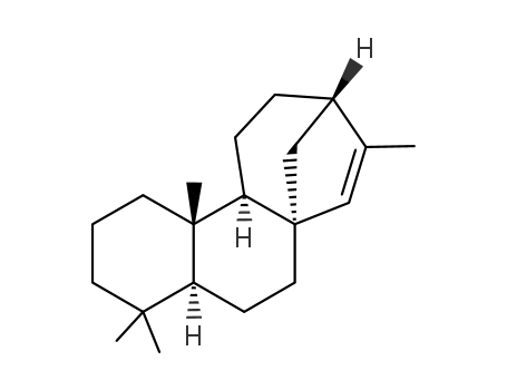 Isophyllocladene