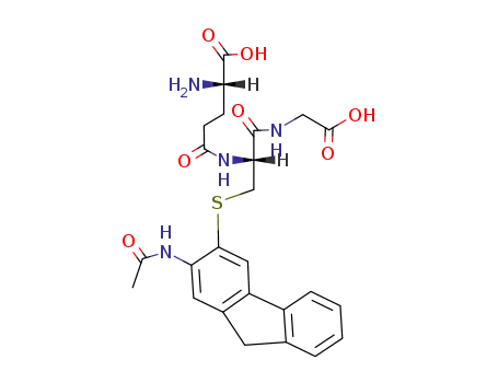 Molecular Structure of 82332-96-5 (L-gamma-glutamyl-S-[2-(acetylamino)-9H-fluoren-3-yl]-L-cysteinylglycine)