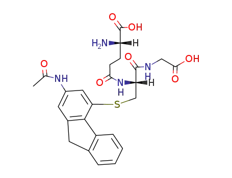 Molecular Structure of 82332-97-6 (L-gamma-glutamyl-S-[2-(acetylamino)-9H-fluoren-4-yl]-L-cysteinylglycine)