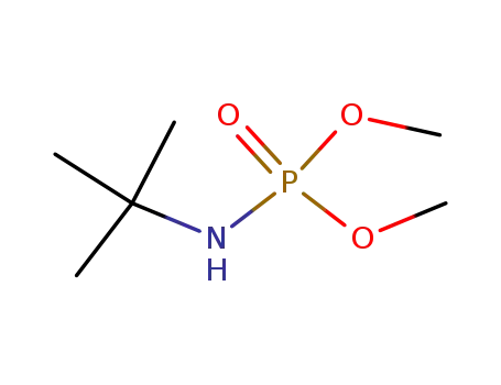 Molecular Structure of 68036-32-8 (N-(1,1-dimethylethyl)-O,O-dimethylphosphoramidate)
