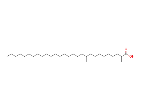 Molecular Structure of 56599-07-6 (2,10-dimethyl-octacosanoic acid)