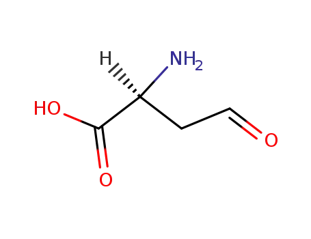 Molecular Structure of 498-20-4 (Aspartic semialdehyde)