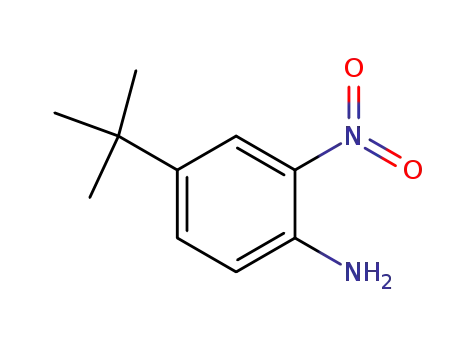 Molecular Structure of 6310-19-6 (Benzenamine,4-(1,1-dimethylethyl)-2-nitro-)