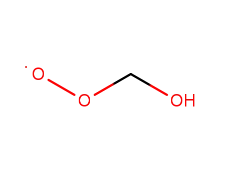Molecular Structure of 27828-51-9 (Methyldioxy, hydroxy-)