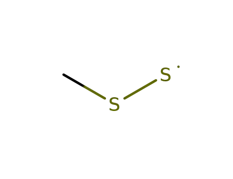Molecular Structure of 29245-72-5 (methyldisulfanyl)