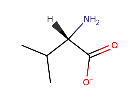 Molecular Structure of 17333-21-0 (L-valinate)