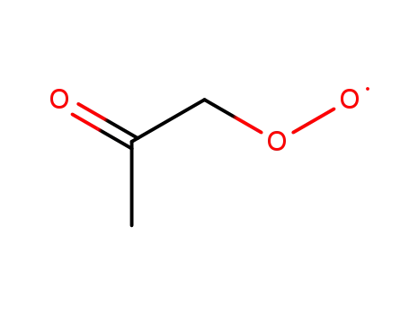 Molecular Structure of 88181-69-5 ((2-oxopropyl)dioxidanyl)