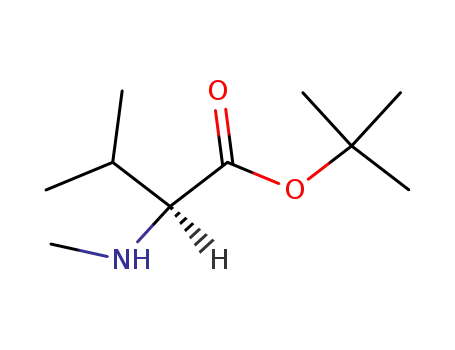 Molecular Structure of 5616-87-5 (L-Valine, N-methyl-, 1,1-dimethylethyl ester)