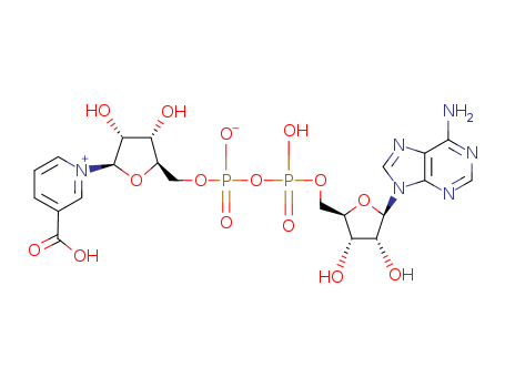 1-[(2R,3R,4S,5R)-5-[[[[(2R,3S,4R,5R)-5-(6-aminopurin-9-yl)-3,4-dihydroxyoxolan-2-yl]methoxy-hydroxyphosphoryl]oxy-hydroxyphosphoryl]oxymethyl]-3,4-dihydroxyoxolan-2-yl]pyridin-1-ium-3-car