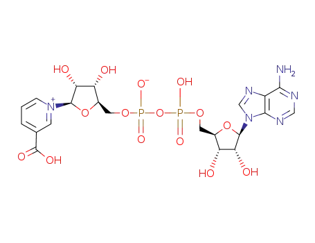 Molecular Structure of 6450-77-7 (1-[5-[[[[5-(6-aminopurin-9-yl)-3,4-dihydroxy-oxolan-2-yl]methoxy-hydroxy-phosphoryl]oxy-hydroxy-phosphoryl]oxymethyl]-3,4-dihydroxy-oxolan-2-yl]pyridine-5-carboxylate)
