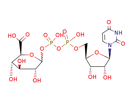 UDP-glucuronic acid