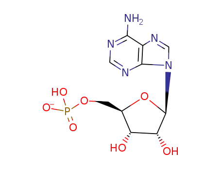 adenosine 5'-monophosphate monoanion