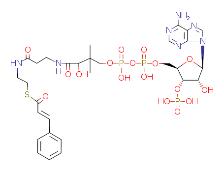 cinnamoyl-coenzyme A