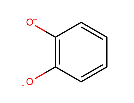 Molecular Structure of 19021-48-8 (1,2-benzosemiquinone anion radical)