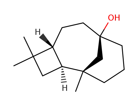 Molecular Structure of 131717-65-2 (isocaryolan-8-ol)