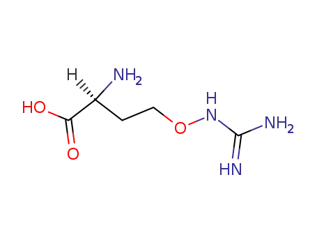 Molecular Structure of 543-38-4 (L-ALPHA-AMINO-GAMMA-[GUANIDINOOXY]-N-BUTYRIC ACID)