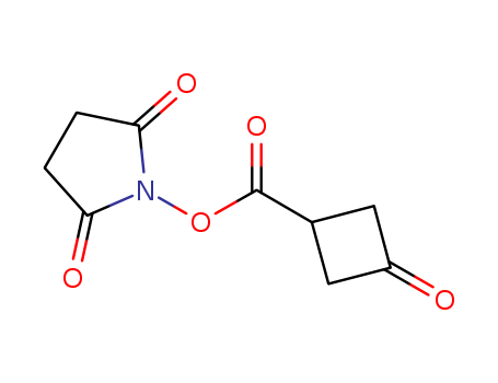 3-Oxo-cyclobutanecarboxylic acid 2,5-dioxo-pyrrolidin-1-yl ester
