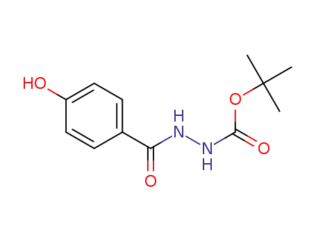 Molecular Structure of 521290-74-4 (tert-butyl 2-(4-hydroxybenzoyl)hydrazinecarboxylate)
