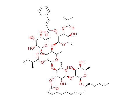 (S)-jalapinolic acid 11-O-α-L-rhamnopyranosyl-(1->3)-O-[2-O-trans-cinnamoyl-3-O-isobutanoyl-α-L-rhamnopyranosyl-(1->4)]-O-[2-O-(S)-2-methylbutyryl]-α-L-rhamnopyranosyl-(1->4)-O-α-L-rhamnopyranosyl-(1->2)-O-β-D-fucopyranoside 1,3'' ester