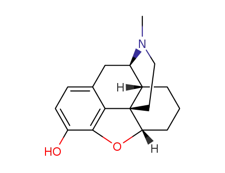 Molecular Structure of 427-00-9 (desomorphine)