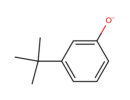 Molecular Structure of 51067-66-4 (3-tert-Butyl-phenol anion)