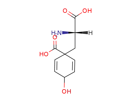 Molecular Structure of 53078-86-7 (pretyrosine)