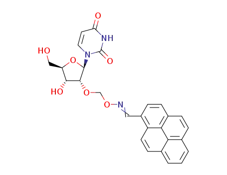 2'-O-(pyren-1-ylmethanimine-N-oxymethyl)uridine