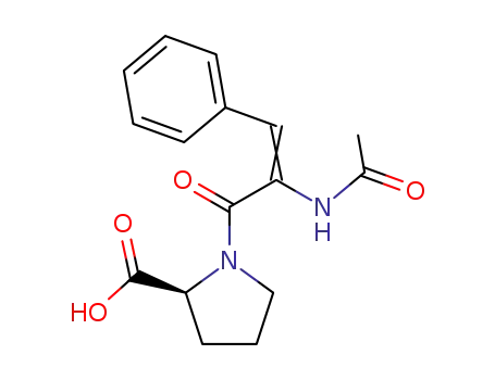 Molecular Structure of 35446-34-5 (1-[(2E)-2-(acetylamino)-3-phenylprop-2-enoyl]proline)