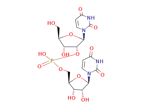 uridylyl-(2'->5')-uridine