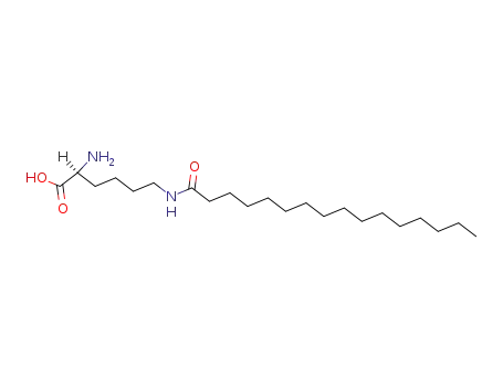 N6-パルミトイル-L-リシン