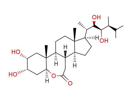 Molecular Structure of 146205-07-4 ((22R,23R,24S)-2α,3α,22,23-tetrahydroxy-6-oxa-7a-homo-5α-campestan-7-one)