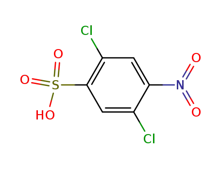 Molecular Structure of 861784-97-6 (2,5-dichloro-4-nitro-benzenesulfonic acid)