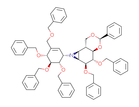 Molecular Structure of 117295-71-3 ((1S,2R,5R,7R,8S,10S)-8,9-dibenzyloxy-11-<(1S)-(1,4,6/5)-4,5,6-tribenzyloxy-3-benzyloxymethylcyclohex-2enyl>-5-phenyl-4,6-dioxa-11-azatricyclo<8.1.0.0.<sup>2,7</sup>>undecane)