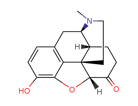 Molecular Structure of 466-99-9 (HYDROMORPHONE)
