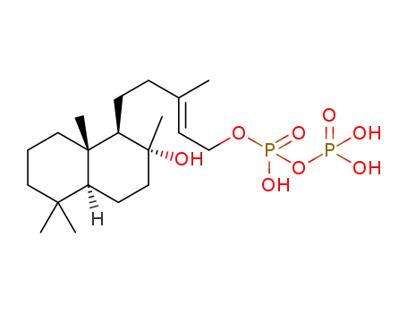 labd-13E-en-8α,15-diol diphosphate