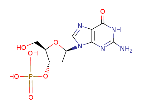 2'-deoxyguanosine 3'-(dihydrogen phosphate)