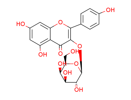 kaempferol-3-O-galactoside CAS 23627-87-4