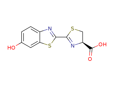 L-LUCIFERIN