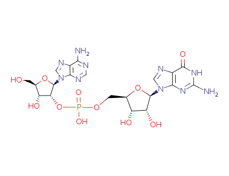 Molecular Structure of 22976-82-5 (adenylyl(2'-5')guanosine)