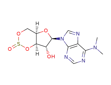 Molecular Structure of 669055-54-3 (9-(3,5-O-sulfinyl-β-D-xylofuranosyl)-N<sup>6</sup>,N<sup>6</sup>-dimethyladenine)